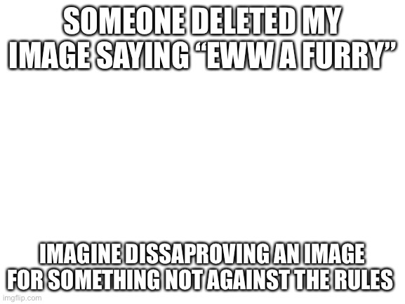 Blank White Template | SOMEONE DELETED MY IMAGE SAYING “EWW A FURRY”; IMAGINE DISSAPROVING AN IMAGE FOR SOMETHING NOT AGAINST THE RULES | image tagged in blank white template | made w/ Imgflip meme maker