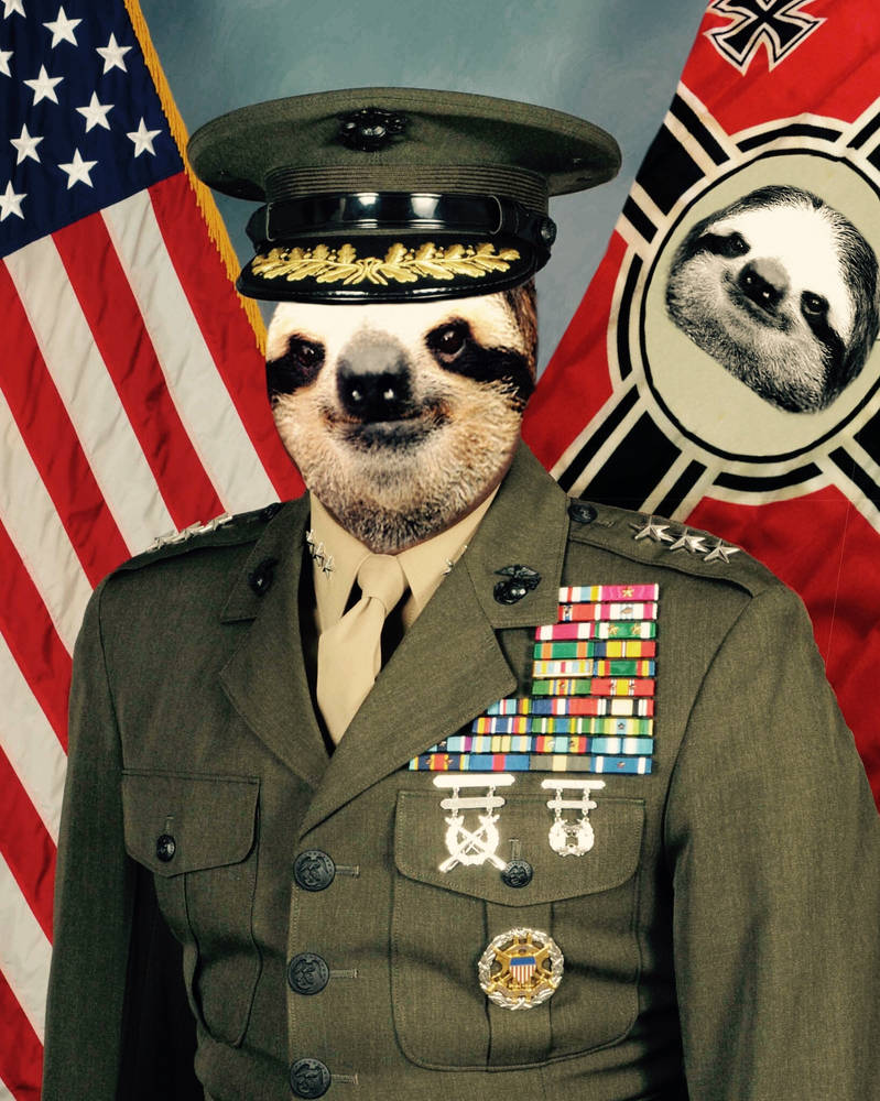 General sloth Blank Meme Template