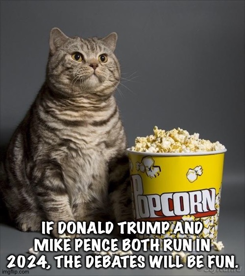 The elephant in the room will be that scaffold. | IF DONALD TRUMP AND MIKE PENCE BOTH RUN IN 2024, THE DEBATES WILL BE FUN. | image tagged in cat eating popcorn | made w/ Imgflip meme maker