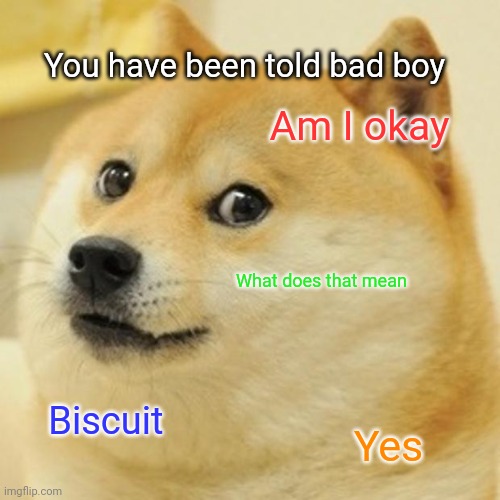 Doge | You have been told bad boy; Am I okay; What does that mean; Biscuit; Yes | image tagged in memes,doge | made w/ Imgflip meme maker