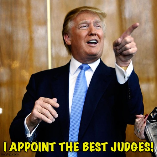 Donal Trump Birthday | I APPOINT THE BEST JUDGES! | image tagged in donal trump birthday | made w/ Imgflip meme maker