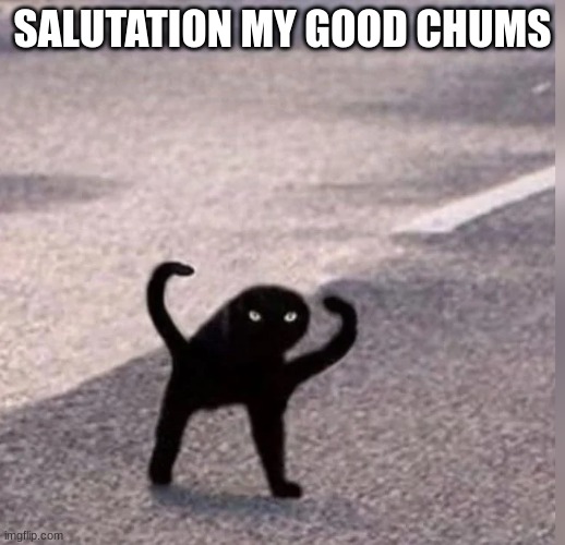 first hello chat meme i made | SALUTATION MY GOOD CHUMS | image tagged in cursed cat,hello | made w/ Imgflip meme maker