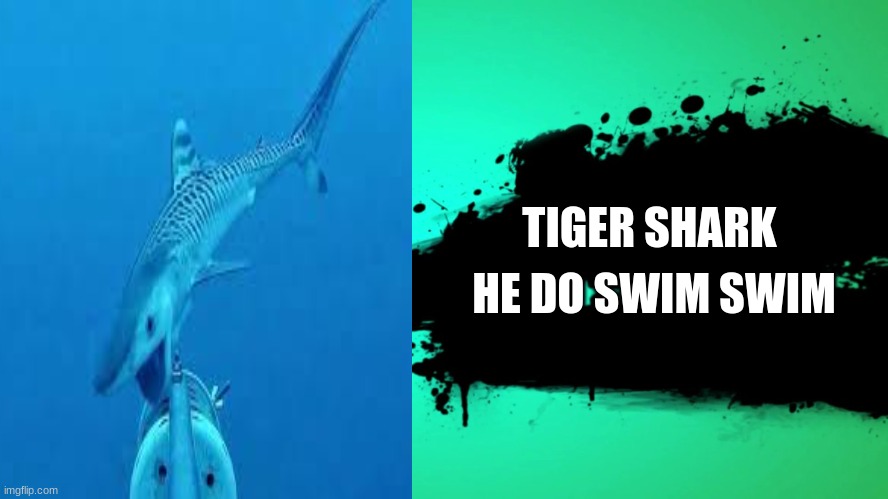 shark for next smash game! | TIGER SHARK; HE DO SWIM SWIM | image tagged in everyone joins the battle | made w/ Imgflip meme maker