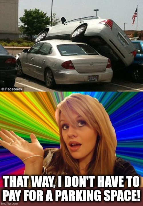 THAT WAY, I DON'T HAVE TO
PAY FOR A PARKING SPACE! | image tagged in memes,dumb blonde | made w/ Imgflip meme maker