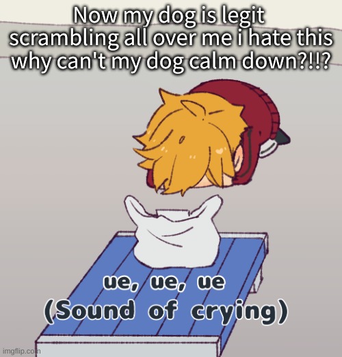 ue ue ue sound of crying | Now my dog is legit  scrambling all over me i hate this why can't my dog calm down?!!? | image tagged in ue ue ue sound of crying | made w/ Imgflip meme maker