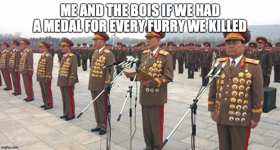 Gangsta's paradise starts playing | ME AND THE BOIS IF WE HAD A MEDAL FOR EVERY FURRY WE KILLED | image tagged in north korea medals | made w/ Imgflip meme maker