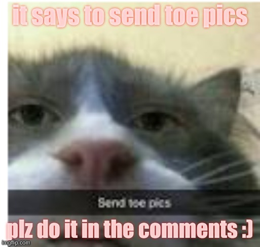 do it plz | it says to send toe pics; plz do it in the comments :) | image tagged in funny | made w/ Imgflip meme maker