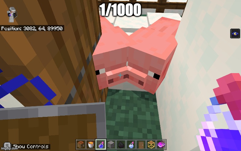 i never knew there was mirrors in minecraft | 1/1000 | image tagged in pig,minecraft,memes,funny,funny memes,rare | made w/ Imgflip meme maker