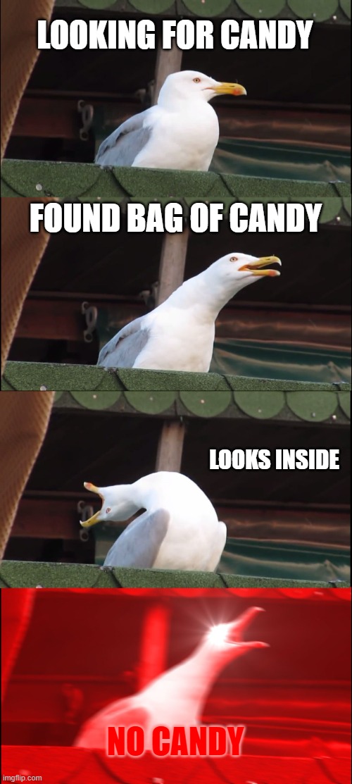Inhaling Seagull Meme | LOOKING FOR CANDY; FOUND BAG OF CANDY; LOOKS INSIDE; NO CANDY | image tagged in memes,inhaling seagull | made w/ Imgflip meme maker
