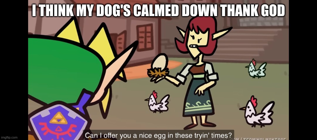 can i offer egg | I THINK MY DOG'S CALMED DOWN THANK GOD | image tagged in can i offer egg | made w/ Imgflip meme maker