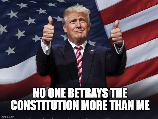 Donald Trump Thumbs Up | NO ONE BETRAYS THE CONSTITUTION MORE THAN ME | image tagged in donald trump thumbs up | made w/ Imgflip meme maker