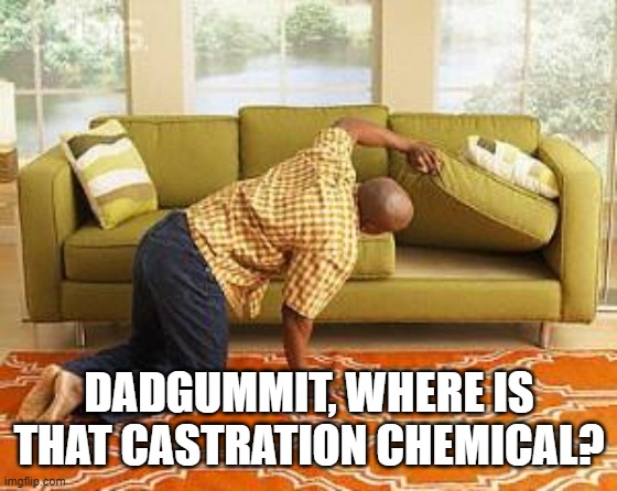 searching  | DADGUMMIT, WHERE IS THAT CASTRATION CHEMICAL? | image tagged in searching | made w/ Imgflip meme maker