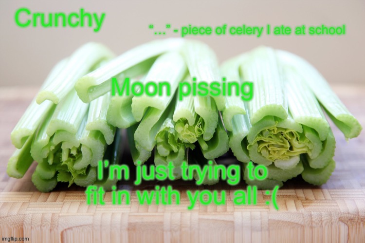 Crunchy’s announcement temp!! | Moon pissing; I’m just trying to fit in with you all :( | image tagged in crunchy s announcement temp | made w/ Imgflip meme maker