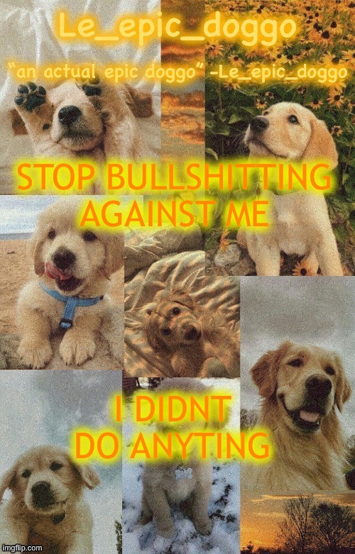 Doggo temp by doggo. Wait what that’s confusing | STOP BULLSHITTING AGAINST ME; I DIDNT DO ANYTING | image tagged in doggo temp by doggo wait what that s confusing | made w/ Imgflip meme maker