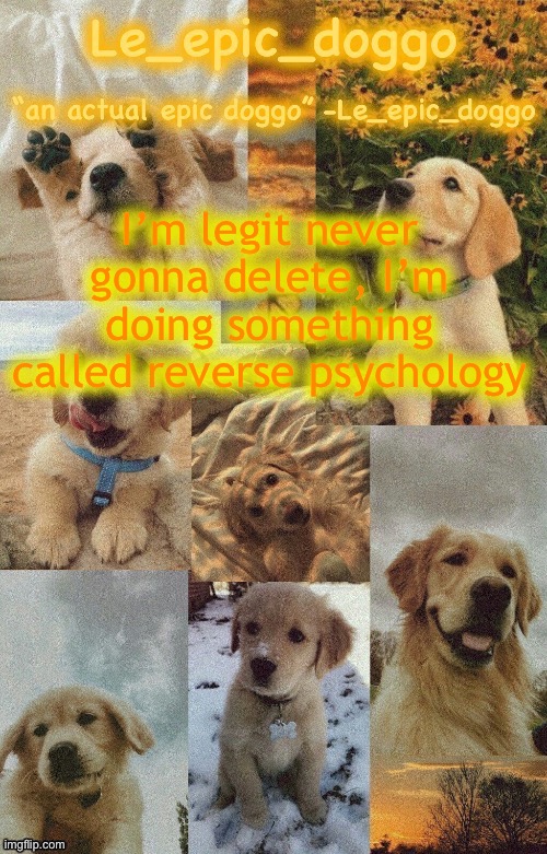 Doggo temp by doggo. Wait what that’s confusing | I’m legit never gonna delete, I’m doing something called reverse psychology | image tagged in doggo temp by doggo wait what that s confusing | made w/ Imgflip meme maker