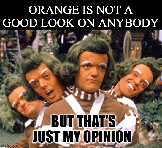 MY OPINION | ORANGE IS NOT A GOOD LOOK ON ANYBODY; BUT THAT'S JUST MY OPINION | image tagged in orange,opinion,change my mind | made w/ Imgflip meme maker
