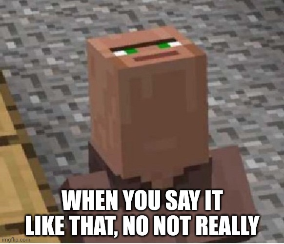Minecraft Villager Looking Up | WHEN YOU SAY IT LIKE THAT, NO NOT REALLY | image tagged in minecraft villager looking up | made w/ Imgflip meme maker