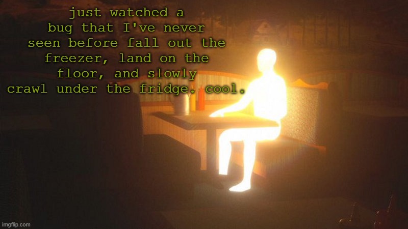 Glowing Guy | just watched a bug that I've never seen before fall out the freezer, land on the floor, and slowly crawl under the fridge. cool. | image tagged in glowing guy | made w/ Imgflip meme maker