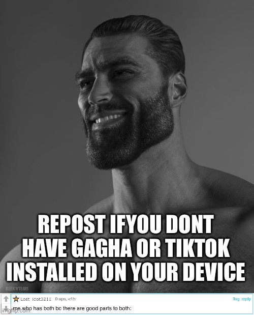 How?! | REPOST IFYOU DONT
HAVE GAGHA OR TIKTOK
INSTALLED ON YOUR DEVICE | image tagged in giga chad | made w/ Imgflip meme maker