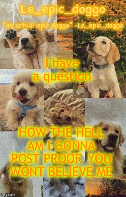 Doggo temp by doggo. Wait what that’s confusing | I have a question; HOW THE HELL AM I GONNA POST PROOF. YOU WONT BELIEVE ME | image tagged in doggo temp by doggo wait what that s confusing | made w/ Imgflip meme maker
