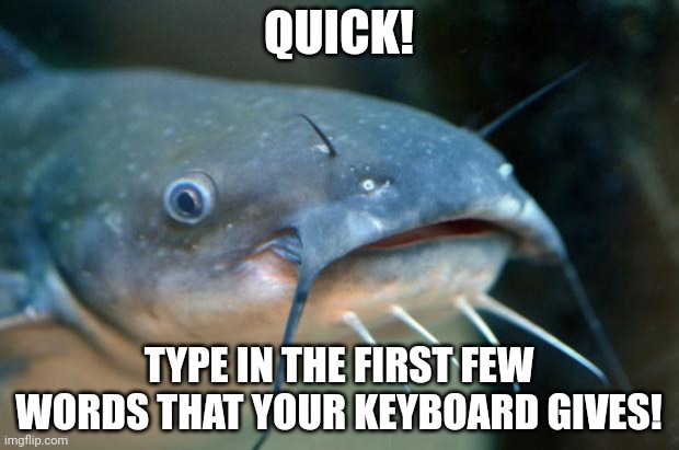 Catfish Catfish  | QUICK! TYPE IN THE FIRST FEW WORDS THAT YOUR KEYBOARD GIVES! | image tagged in catfish catfish | made w/ Imgflip meme maker