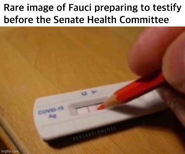 Due to my white privilege I will be donating my covid-19 vaccine shot to someone less fortunate. | image tagged in dr fauci | made w/ Imgflip meme maker