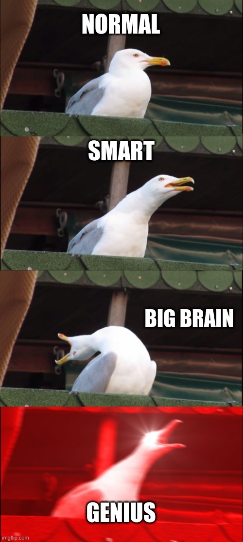 Inhaling Seagull Meme | NORMAL; SMART; BIG BRAIN; GENIUS | image tagged in memes,inhaling seagull | made w/ Imgflip meme maker