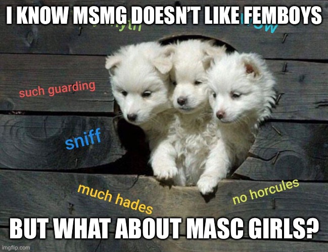 *cough* *me* *cough* | I KNOW MSMG DOESN’T LIKE FEMBOYS; BUT WHAT ABOUT MASC GIRLS? | made w/ Imgflip meme maker