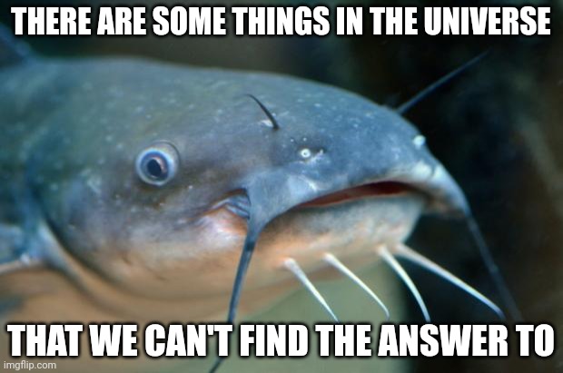 Catfish Catfish  | THERE ARE SOME THINGS IN THE UNIVERSE THAT WE CAN'T FIND THE ANSWER TO | image tagged in catfish catfish | made w/ Imgflip meme maker