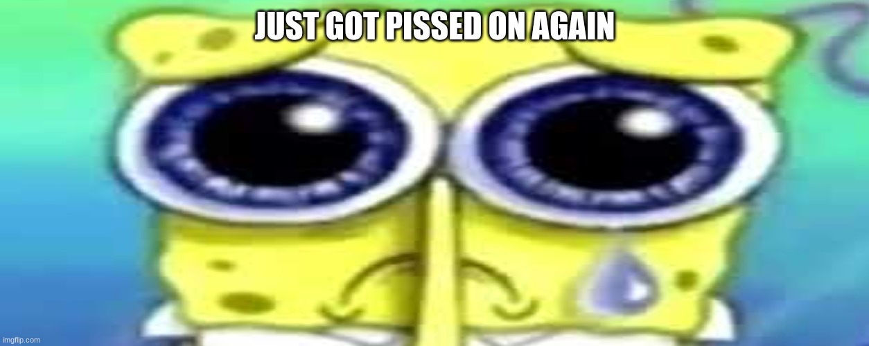 Sad Spong | JUST GOT PISSED ON AGAIN | image tagged in sad spong | made w/ Imgflip meme maker