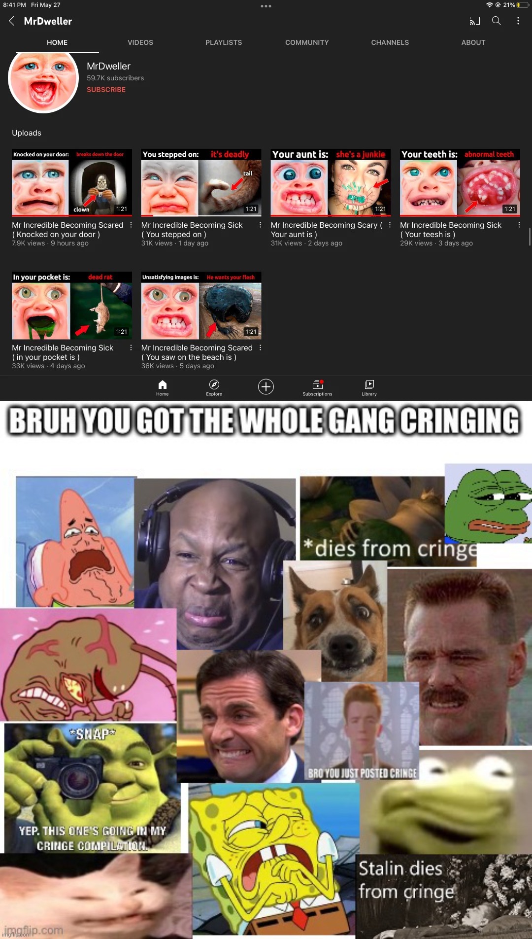 Cringe | image tagged in the gang cringes,cringe,memes | made w/ Imgflip meme maker