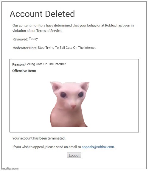 Roblox | Account Deleted; Today; Stop Trying To Sell Cats On The Internet; Selling Cats On The Internet | image tagged in moderation system,roblox,cats,account deleted | made w/ Imgflip meme maker