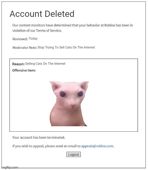 This is a real type of roblox account deletion - Imgflip