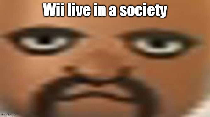 Wii live in a society | Wii live in a society | image tagged in matt | made w/ Imgflip meme maker