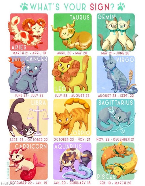 Zodiac cats! (LMAO I love the cancer one) | image tagged in zodiac signs,cats | made w/ Imgflip meme maker