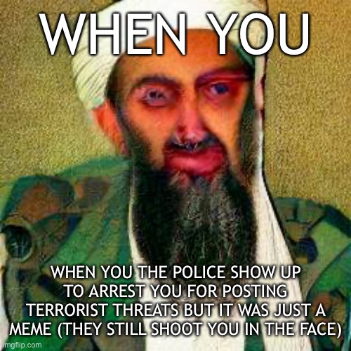 Deep Fried Bin Laden | WHEN YOU; WHEN YOU THE POLICE SHOW UP TO ARREST YOU FOR POSTING TERRORIST THREATS BUT IT WAS JUST A MEME (THEY STILL SHOOT YOU IN THE FACE) | image tagged in deep fried bin laden | made w/ Imgflip meme maker