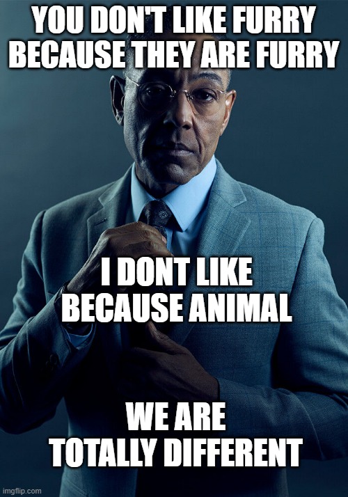 Gus Fring we are not the same | YOU DON'T LIKE FURRY BECAUSE THEY ARE FURRY; I DONT LIKE BECAUSE ANIMAL; WE ARE TOTALLY DIFFERENT | image tagged in gus fring we are not the same | made w/ Imgflip meme maker