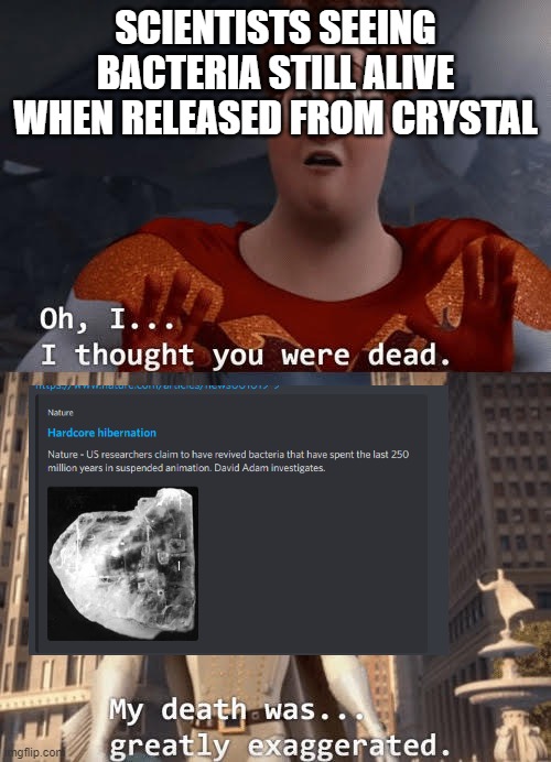 impressive, my man | SCIENTISTS SEEING BACTERIA STILL ALIVE WHEN RELEASED FROM CRYSTAL | image tagged in my death was greatly exaggerated | made w/ Imgflip meme maker