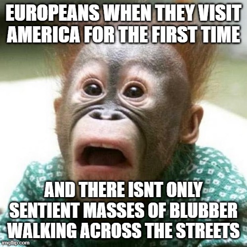 Shocked Monkey | EUROPEANS WHEN THEY VISIT AMERICA FOR THE FIRST TIME; AND THERE ISNT ONLY SENTIENT MASSES OF BLUBBER WALKING ACROSS THE STREETS | image tagged in shocked monkey | made w/ Imgflip meme maker