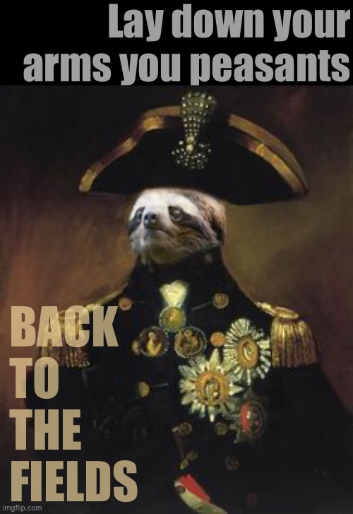 We will enforce this truce by any means necessary | Lay down your arms you peasants; BACK TO THE FIELDS | image tagged in general sloth,s,l,o,t,h | made w/ Imgflip meme maker