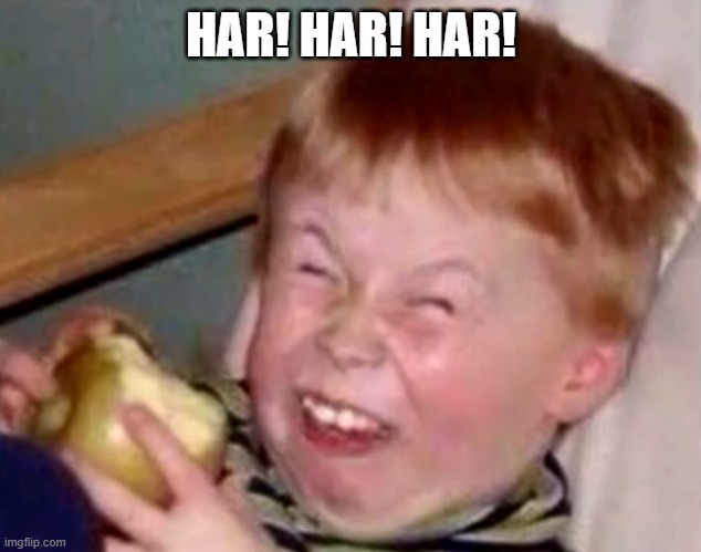 Sarcastic laughing kid | HAR! HAR! HAR! | image tagged in sarcastic laughing kid | made w/ Imgflip meme maker