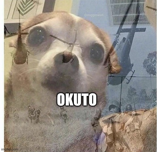 PTSD Chihuahua | OKUTO | image tagged in ptsd chihuahua | made w/ Imgflip meme maker