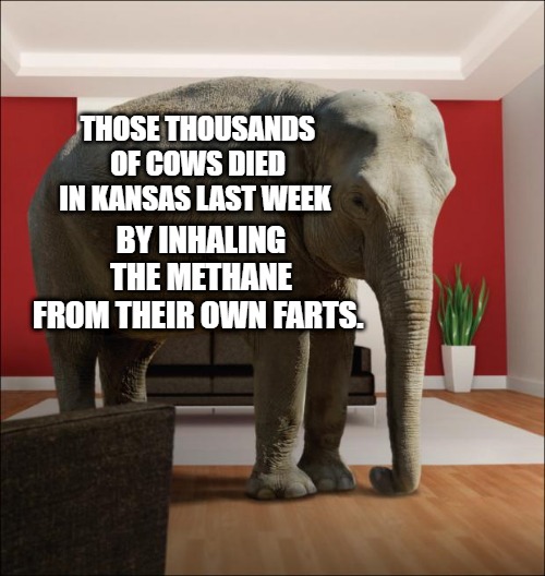 Breaking: | THOSE THOUSANDS OF COWS DIED IN KANSAS LAST WEEK; BY INHALING THE METHANE FROM THEIR OWN FARTS. | image tagged in elephant in the room,dead cows,kansas,global warming,climate change,cow farts | made w/ Imgflip meme maker