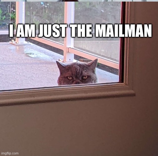 My cat | I AM JUST THE MAILMAN | image tagged in funny | made w/ Imgflip meme maker