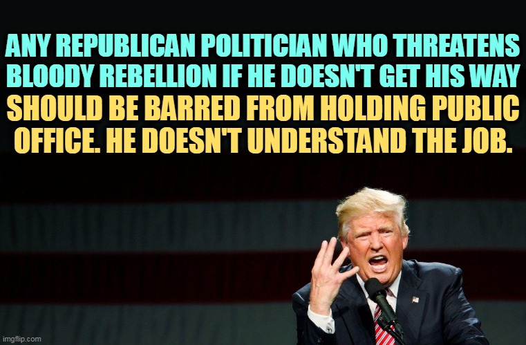ANY REPUBLICAN POLITICIAN WHO THREATENS BLOODY REBELLION IF HE DOESN'T GET HIS WAY; SHOULD BE BARRED FROM HOLDING PUBLIC OFFICE. HE DOESN'T UNDERSTAND THE JOB. | image tagged in republican,threats,bloody,rebellion | made w/ Imgflip meme maker