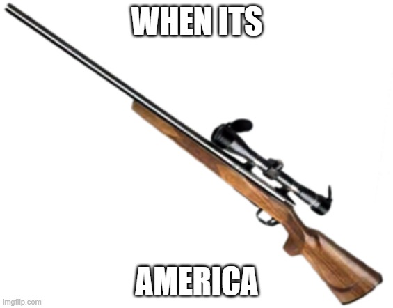 Dead Rising 1 Hunting Rifle. | WHEN ITS; AMERICA | image tagged in dead rising 1 hunting rifle | made w/ Imgflip meme maker