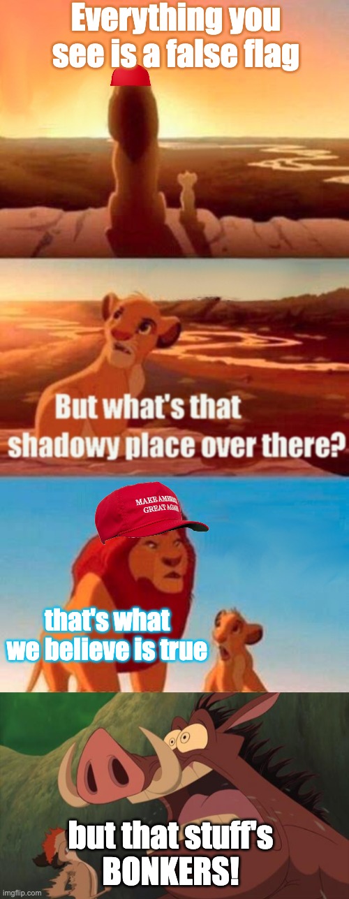 False flag, false flag everywhere | Everything you see is a false flag; that's what we believe is true; but that stuff's
BONKERS! | image tagged in memes,simba shadowy place,pumbaa screaming | made w/ Imgflip meme maker