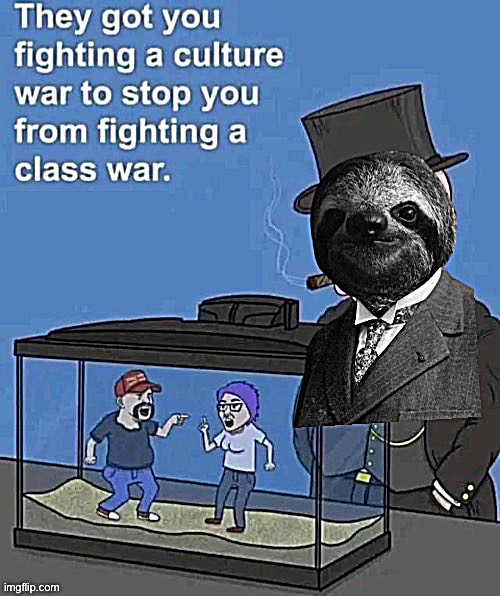 sloth culture war | image tagged in sloth culture war | made w/ Imgflip meme maker