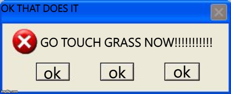 go touch grass | OK THAT DOES IT; GO TOUCH GRASS NOW!!!!!!!!!!! ok; ok; ok | image tagged in windows xp error | made w/ Imgflip meme maker