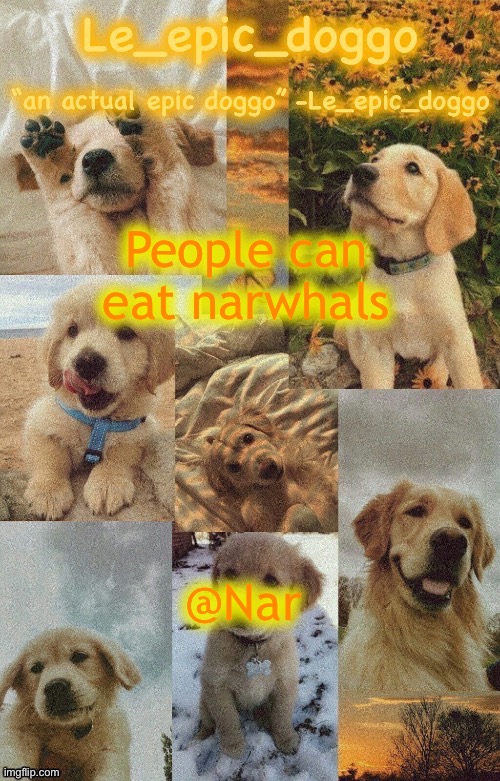 Doggo temp by doggo. Wait what that’s confusing | People can eat narwhals; @Nar | image tagged in doggo temp by doggo wait what that s confusing | made w/ Imgflip meme maker